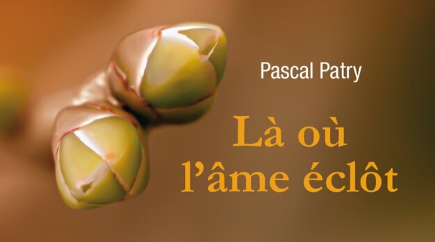 Pascal Patry praticien en psychothérapie, thérapeute et ...